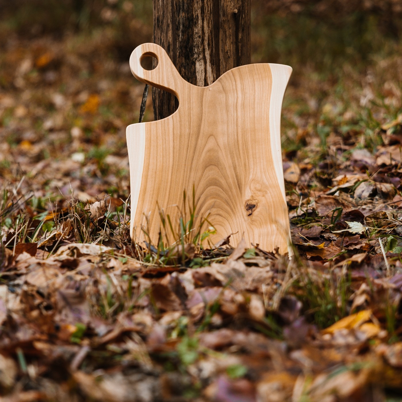 DILA ZA REZANJE - OBLIKA 3 - 18 x 37 cm - slika 3