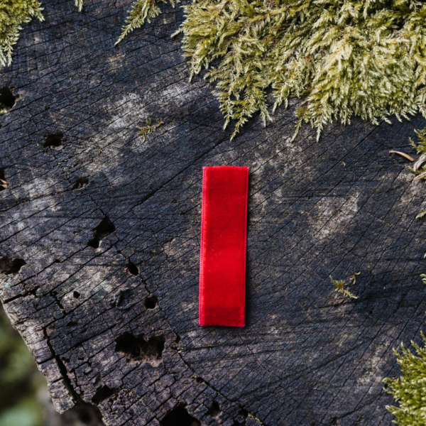 TRAK ZA LESEN METUJČEK - RDEČ