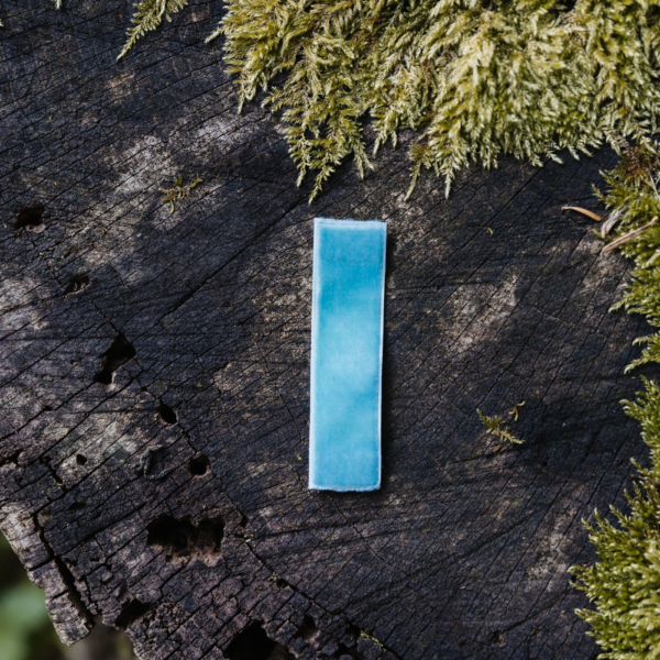 TRAK ZA LESEN METUJČEK - SVETLO MODER