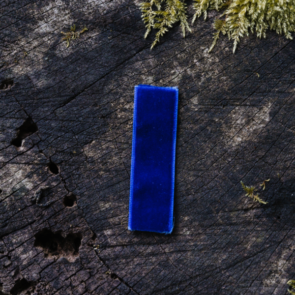 TRAK ZA LESEN METUJČEK - MODER