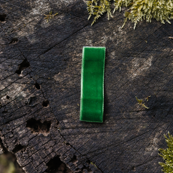 TRAK ZA LESEN METUJČEK - ZELEN